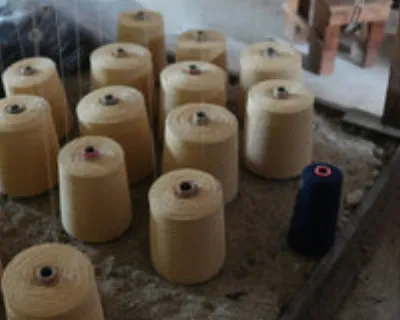 Link Collective homeware